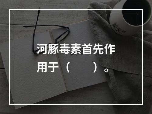 河豚毒素首先作用于（　　）。