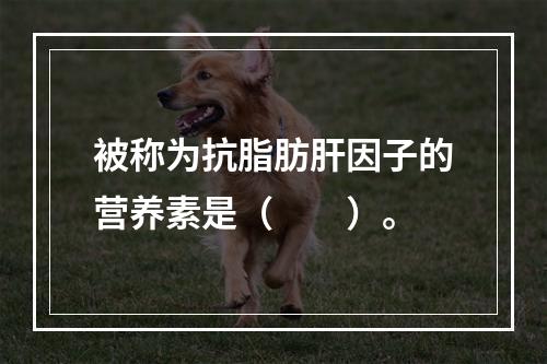 被称为抗脂肪肝因子的营养素是（　　）。