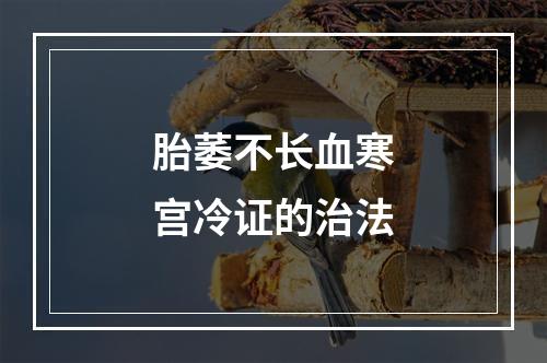 胎萎不长血寒宫冷证的治法