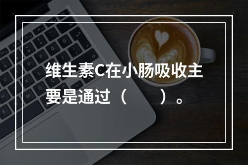 维生素C在小肠吸收主要是通过（　　）。