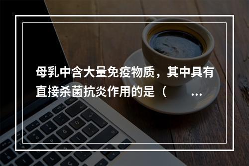 母乳中含大量免疫物质，其中具有直接杀菌抗炎作用的是（　　）