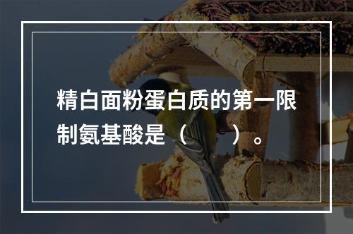 精白面粉蛋白质的第一限制氨基酸是（　　）。