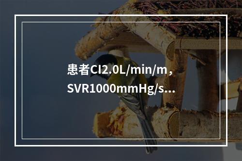 患者CI2.0L/min/m，SVR1000mmHg/s/L