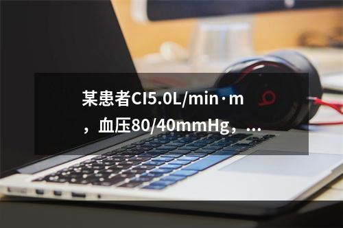 某患者CI5.0L/min·m，血压80/40mmHg，最可