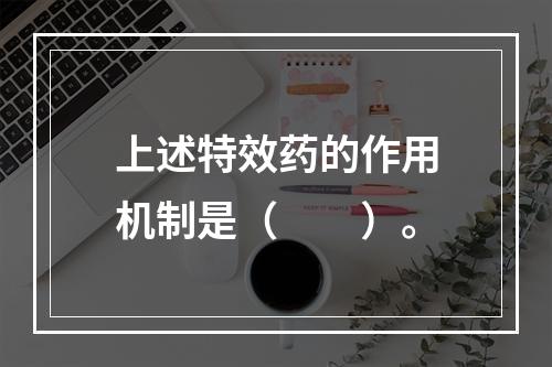 上述特效药的作用机制是（　　）。