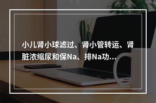 小儿肾小球滤过、肾小管转运、肾脏浓缩尿和保Na、排Na功能完