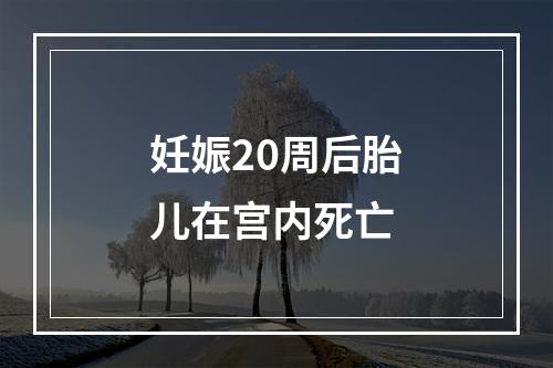 妊娠20周后胎儿在宫内死亡