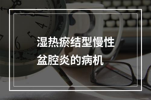 湿热瘀结型慢性盆腔炎的病机