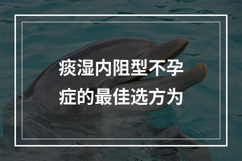 痰湿内阻型不孕症的最佳选方为