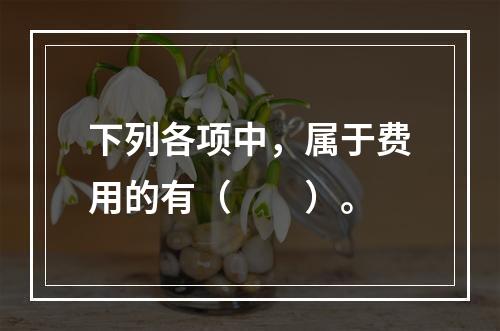 下列各项中，属于费用的有（　　）。