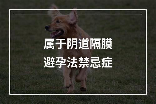 属于阴道隔膜避孕法禁忌症