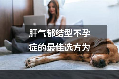 肝气郁结型不孕症的最佳选方为