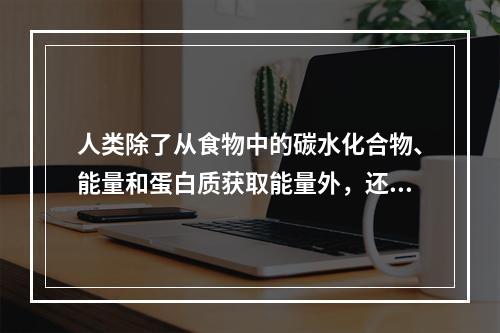 人类除了从食物中的碳水化合物、能量和蛋白质获取能量外，还能