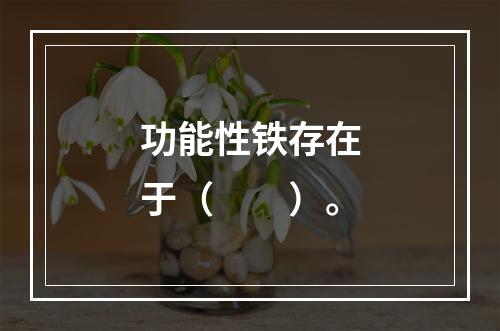 功能性铁存在于（　　）。