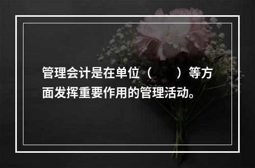 管理会计是在单位（　　）等方面发挥重要作用的管理活动。