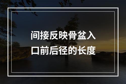 间接反映骨盆入口前后径的长度