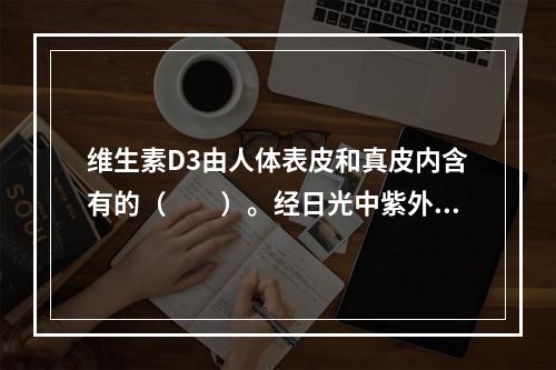 维生素D3由人体表皮和真皮内含有的（　　）。经日光中紫外线