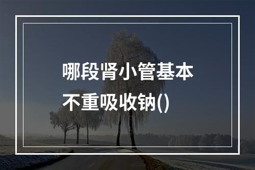 哪段肾小管基本不重吸收钠()