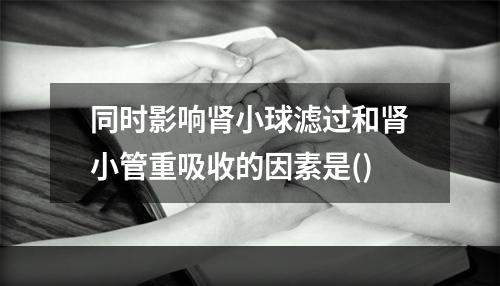 同时影响肾小球滤过和肾小管重吸收的因素是()