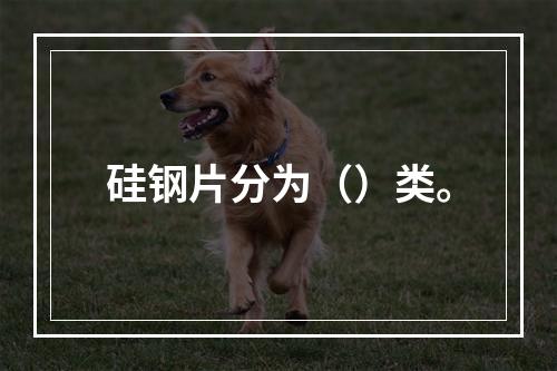 硅钢片分为（）类。