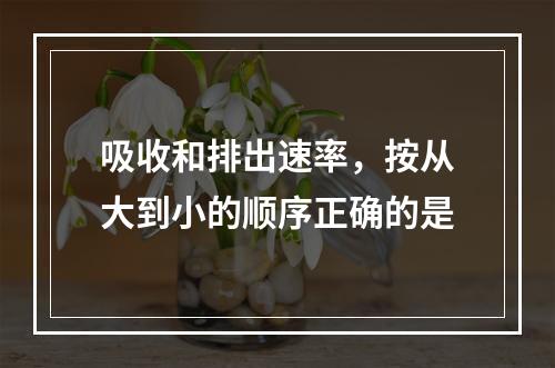 吸收和排出速率，按从大到小的顺序正确的是