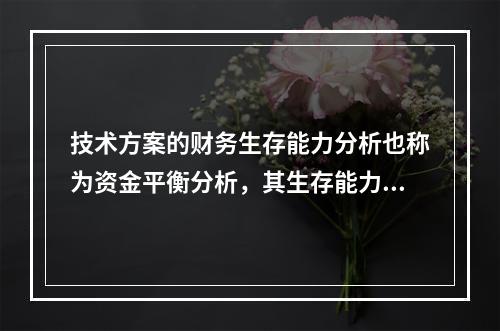 技术方案的财务生存能力分析也称为资金平衡分析，其生存能力的必