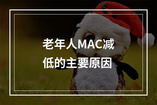 老年人MAC减低的主要原因