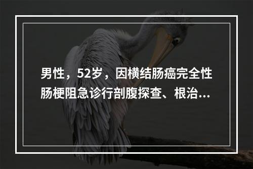 男性，52岁，因横结肠癌完全性肠梗阻急诊行剖腹探查、根治准备