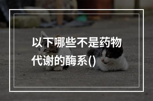 以下哪些不是药物代谢的酶系()