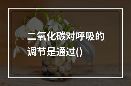 二氧化碳对呼吸的调节是通过()