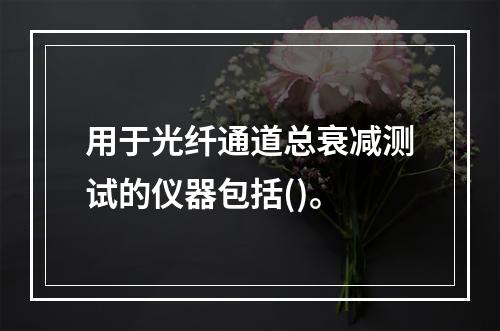 用于光纤通道总衰减测试的仪器包括()。