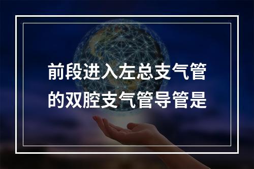 前段进入左总支气管的双腔支气管导管是