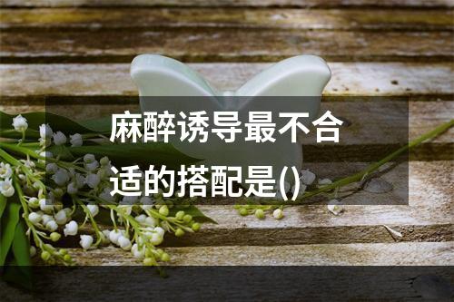 麻醉诱导最不合适的搭配是()