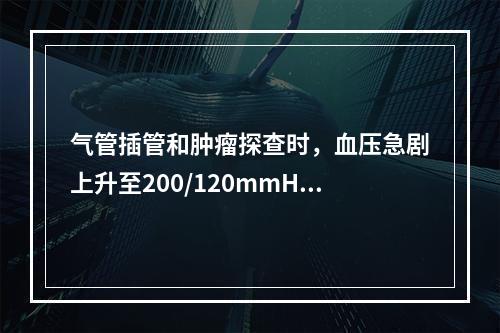 气管插管和肿瘤探查时，血压急剧上升至200/120mmHg，