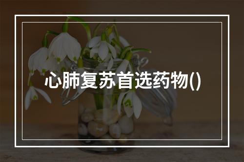 心肺复苏首选药物()