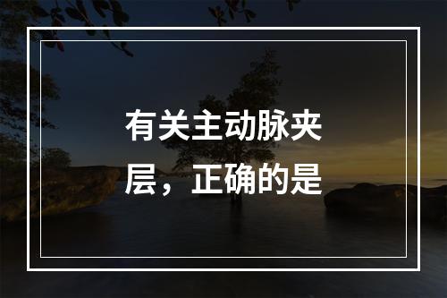 有关主动脉夹层，正确的是