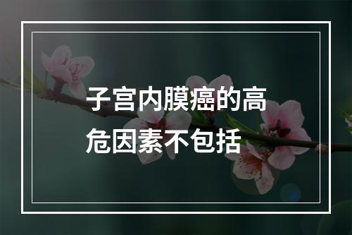 子宫内膜癌的高危因素不包括