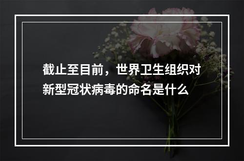 截止至目前，世界卫生组织对新型冠状病毒的命名是什么