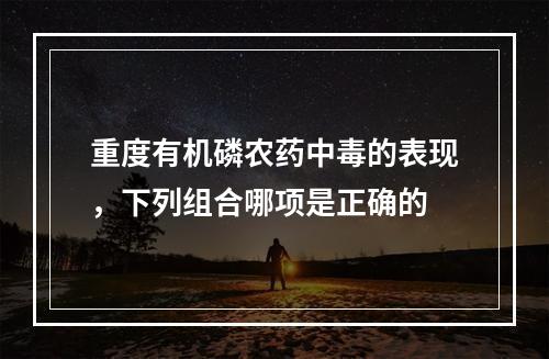 重度有机磷农药中毒的表现，下列组合哪项是正确的