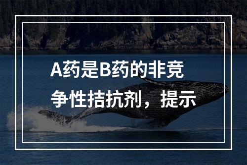 A药是B药的非竞争性拮抗剂，提示