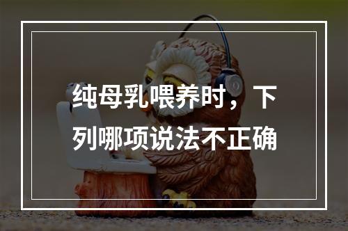 纯母乳喂养时，下列哪项说法不正确