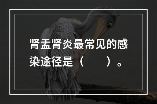 肾盂肾炎最常见的感染途径是（　　）。