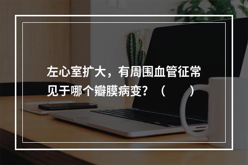 左心室扩大，有周围血管征常见于哪个瓣膜病变？（　　）