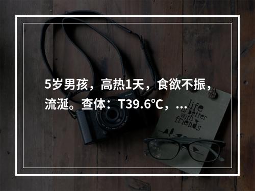 5岁男孩，高热1天，食欲不振，流涎。查体：T39.6℃，咽部