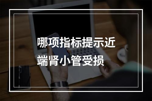 哪项指标提示近端肾小管受损