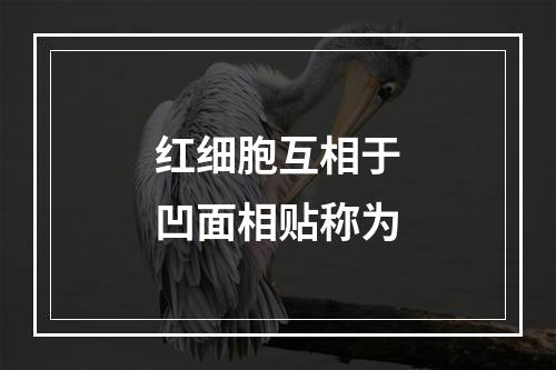 红细胞互相于凹面相贴称为