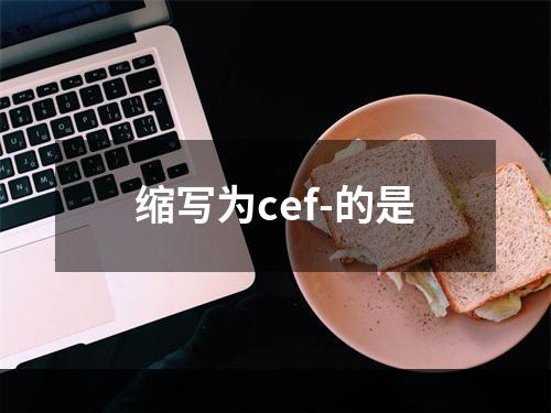 缩写为cef-的是