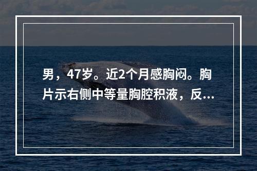 男，47岁。近2个月感胸闷。胸片示右侧中等量胸腔积液，反复多