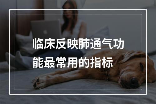 临床反映肺通气功能最常用的指标