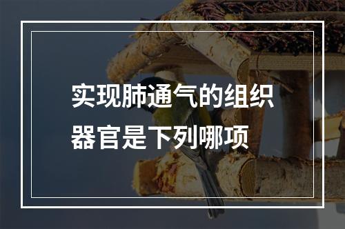 实现肺通气的组织器官是下列哪项